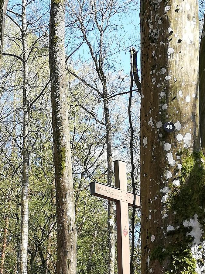 Ferienwohnungen Blum Kelberg Exteriér fotografie