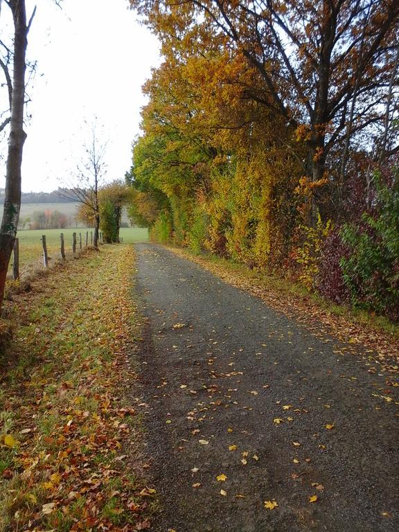 Ferienwohnungen Blum Kelberg Exteriér fotografie